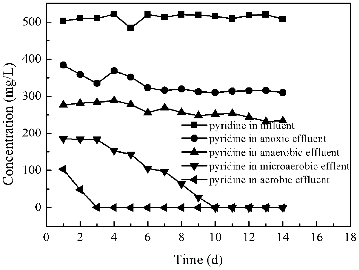 Device for pyridine mineralization simultaneous denitrification through nano-iron oxide