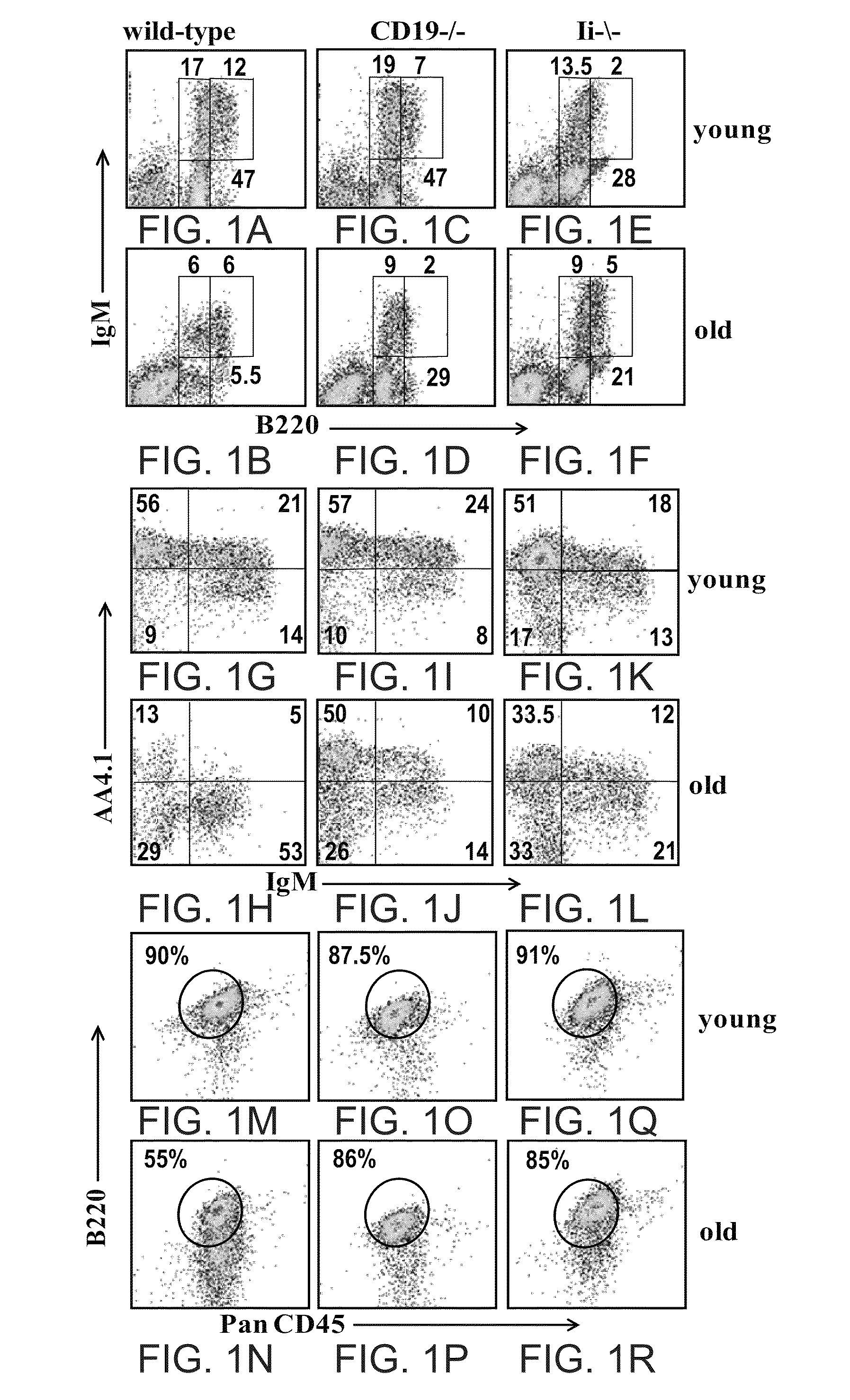 Methods of altering peripheral b cell populations and uses thereof