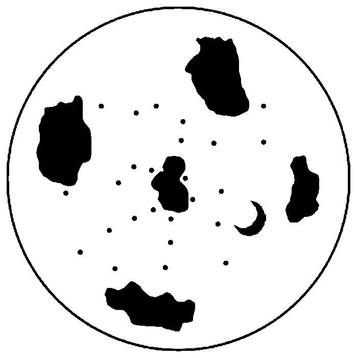 Star map display method taking all-sky imaging as background