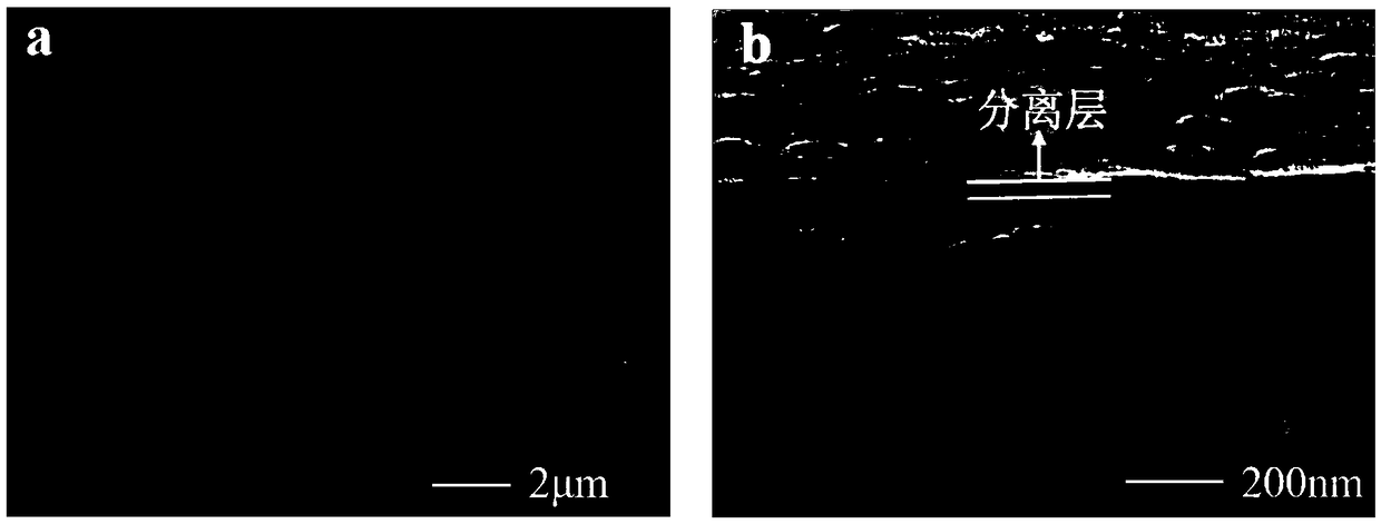 Preparation method of ultrathin silicon-based alcohol water separation film with thickness smaller than 50 nm