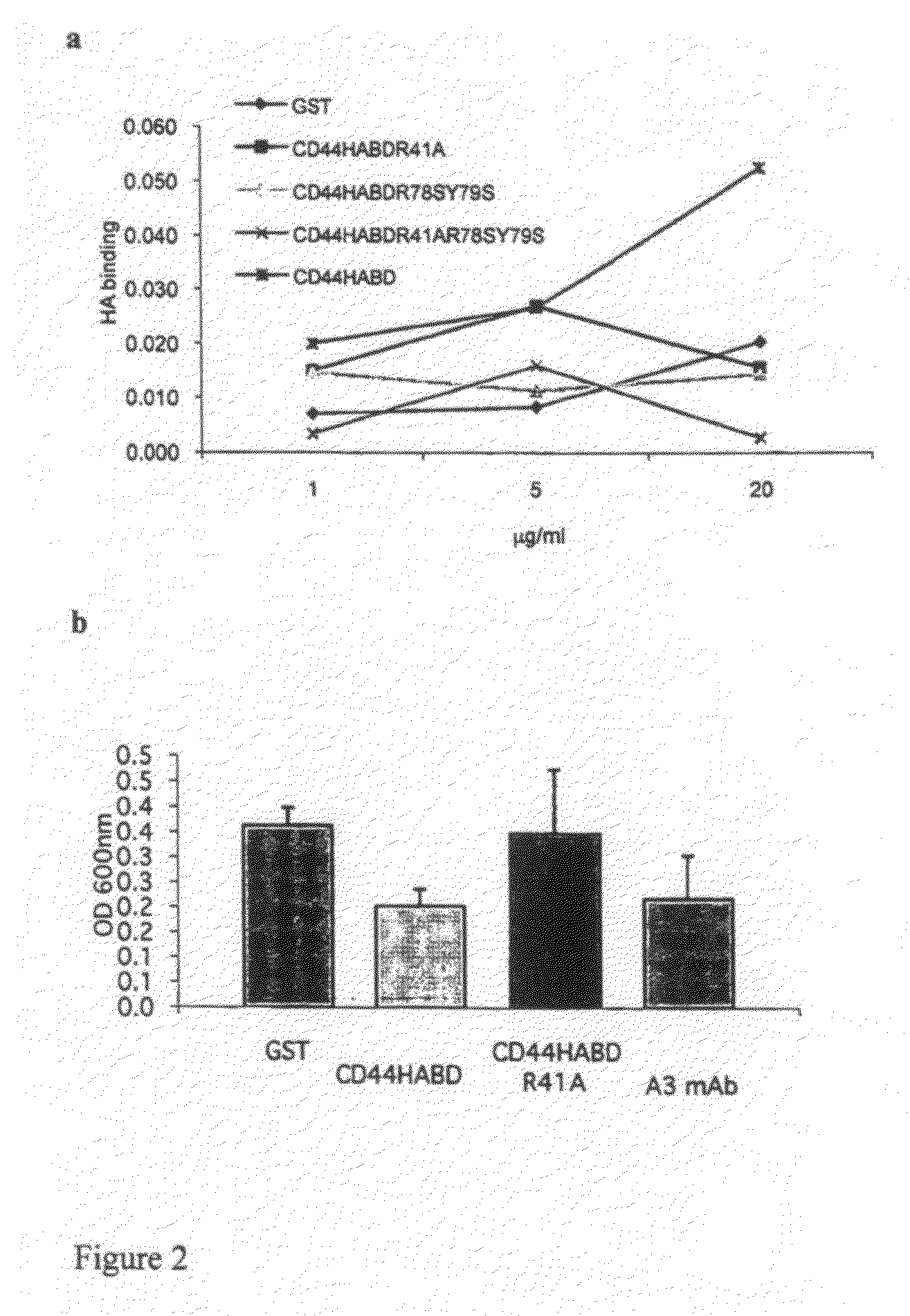 Drug for treating states related to the inhibition of angiogenesis and/or endothelial cell proliferation