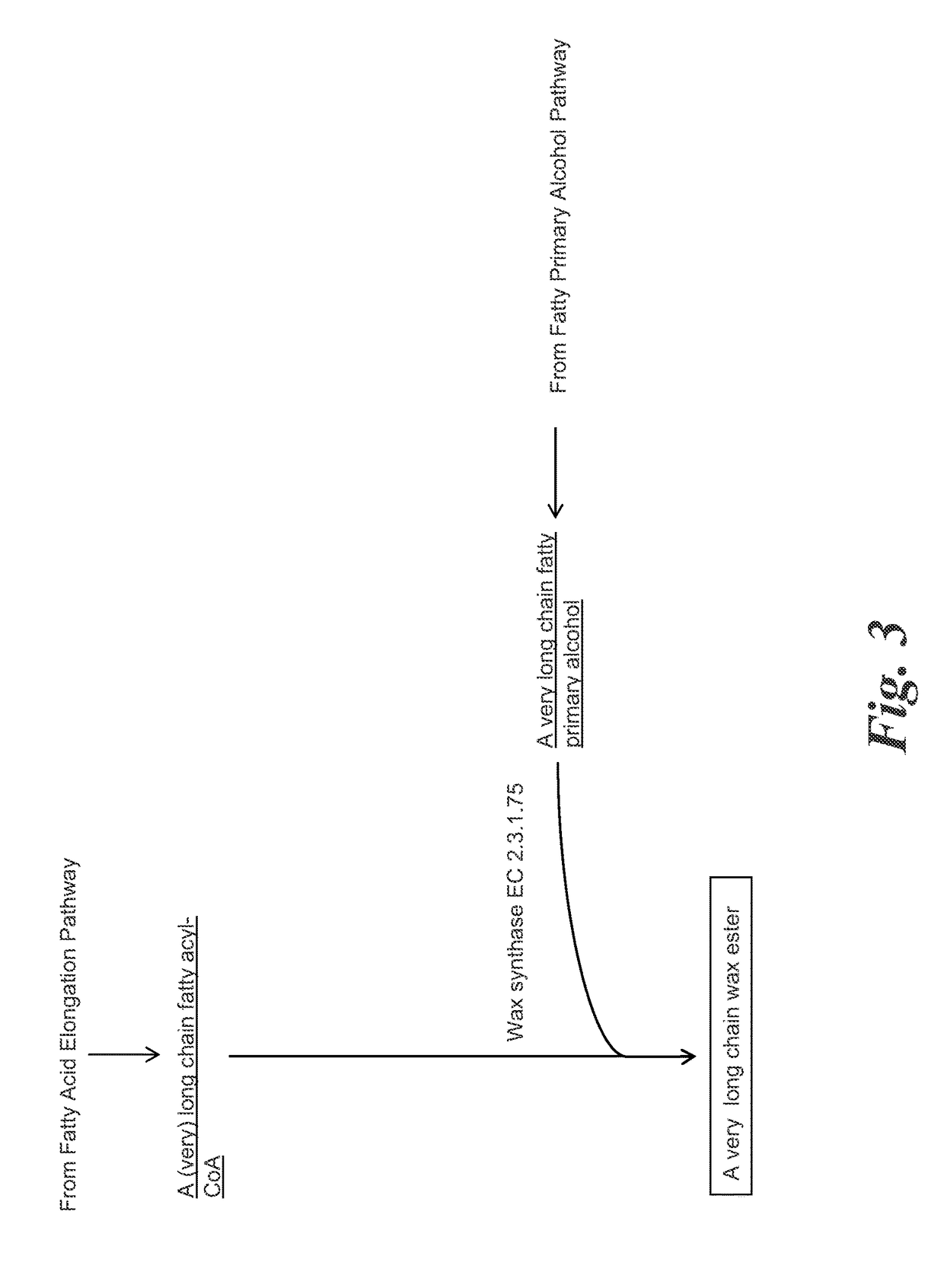 Methods for biological production of very long carbon chain compounds