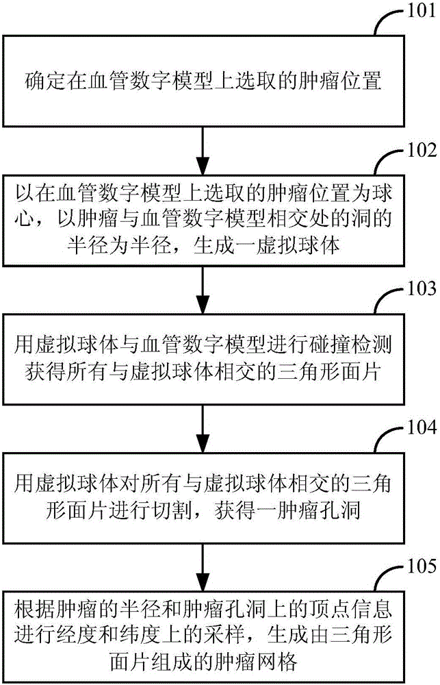 Method and apparatus for editing tumor lesion of blood vessel digital model