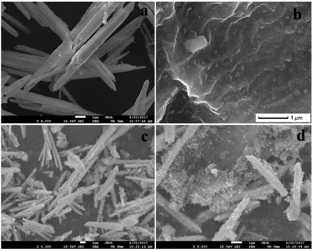 Biomass charcoal based magnetic bismuth oxide composite photocatalyst preparation method and application