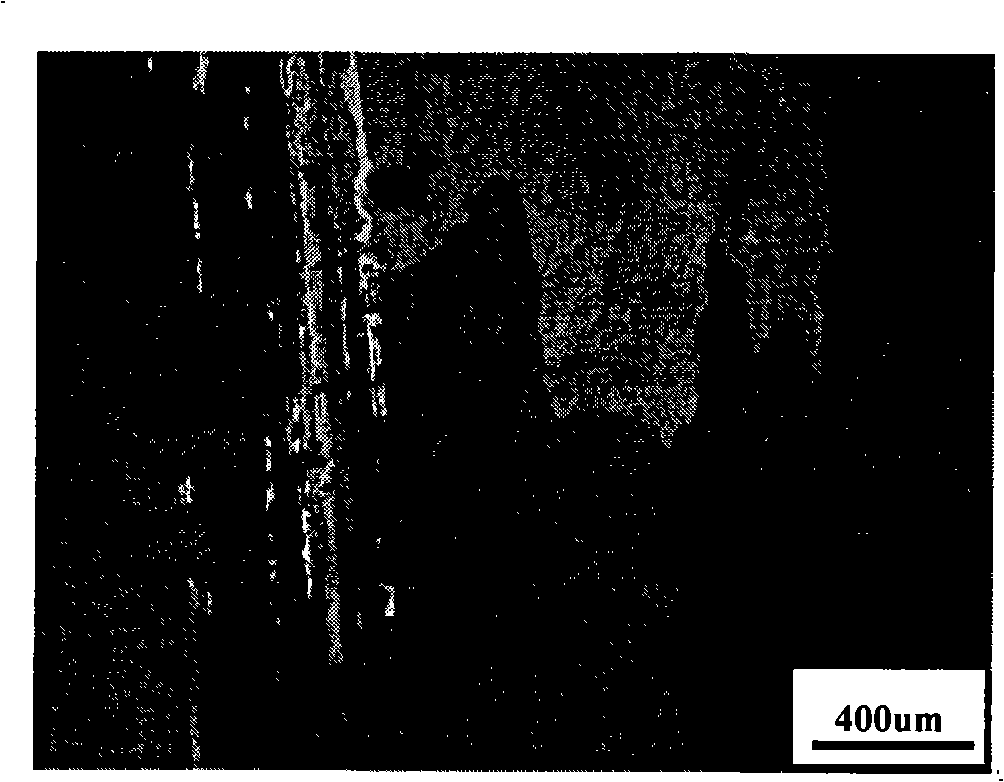 Praseodymium-containing anti-recrystallizing corrosion resistant aluminum alloy