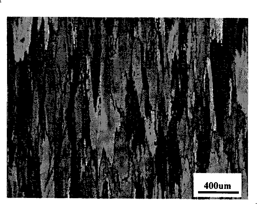 Praseodymium-containing anti-recrystallizing corrosion resistant aluminum alloy