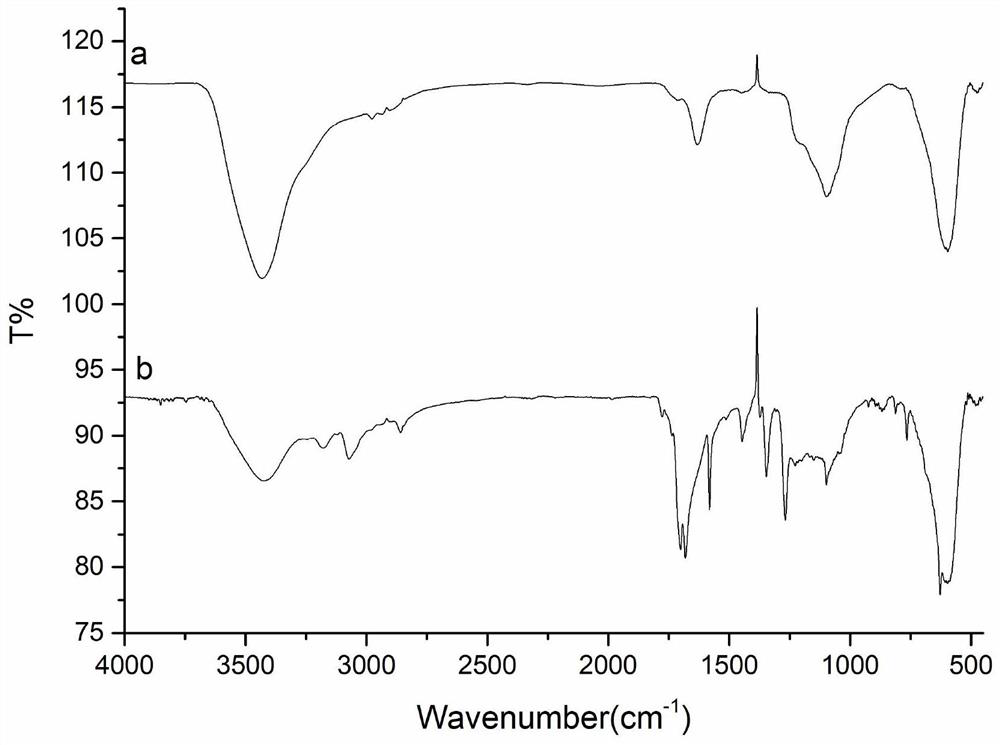 Naphthyl polyimide magnetic composite and its preparation method and application