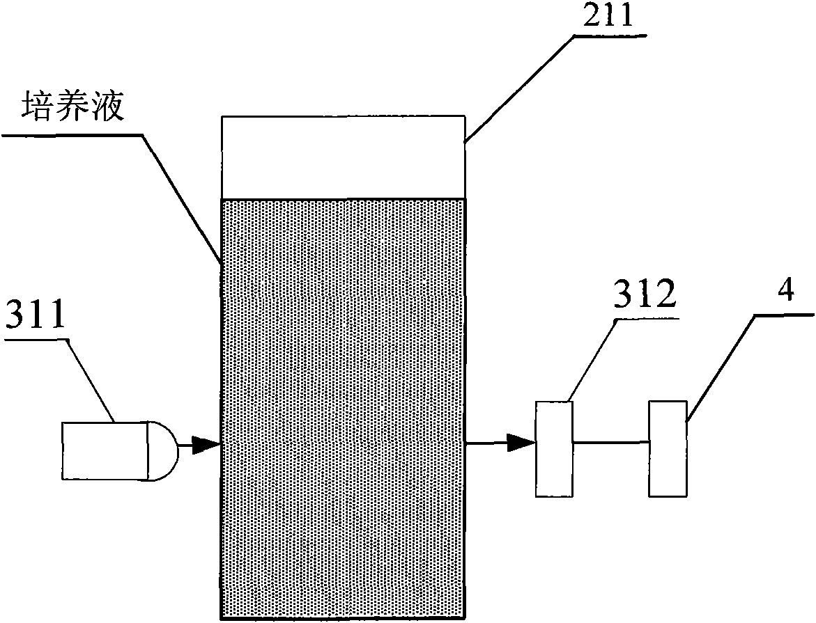 Bacterium detection method and device