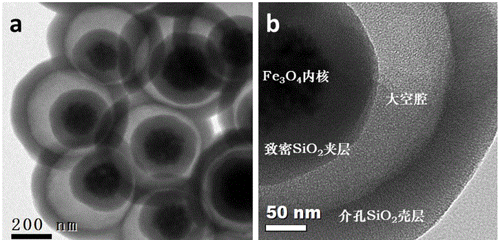 Magnetic mesoporous silica composite microspheres with yolk-shell structure and preparation method thereof