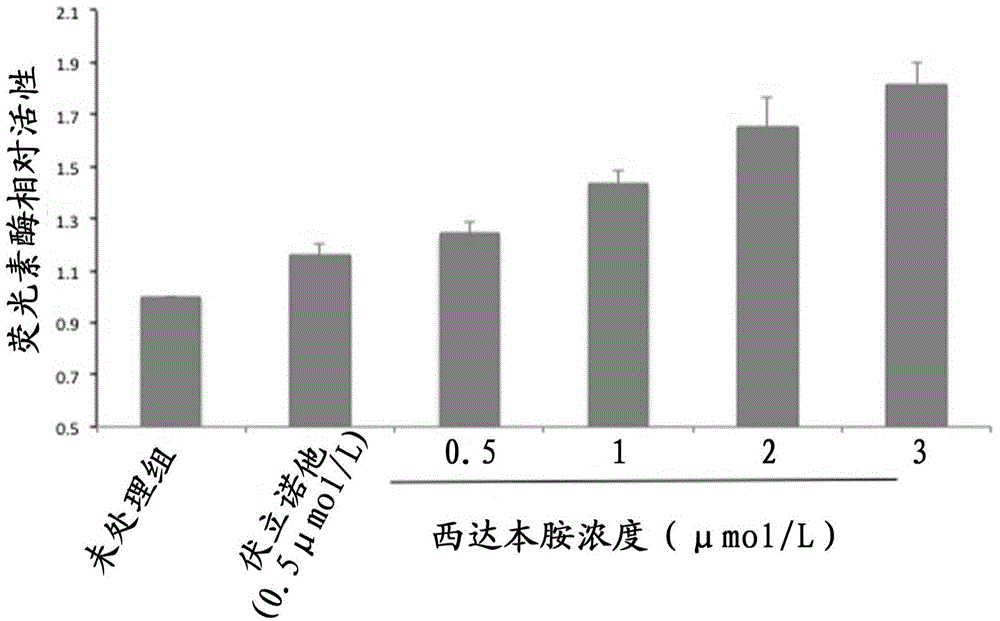 Application of histone deacetylase inhibitor in preparation of latent virus activator