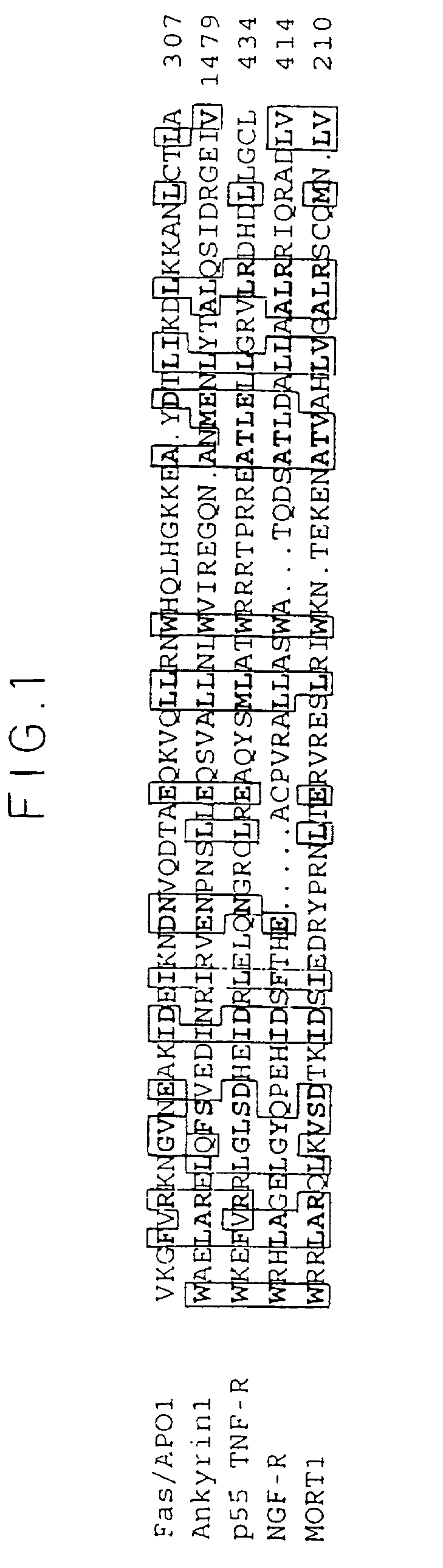 Modulators of regulatory proteins