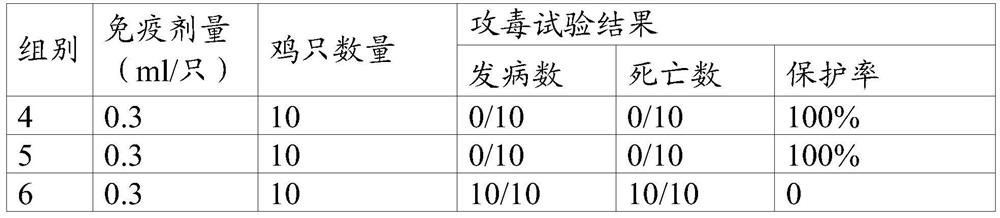 Construction method and application of CHO cell strain capable of efficiently expressing foreign proteins