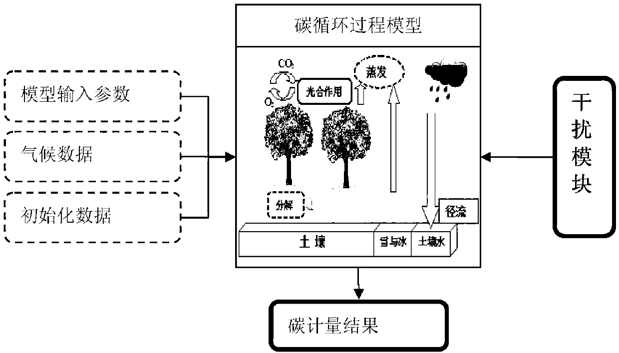 Forestry carbon accounting method based on ecological process model
