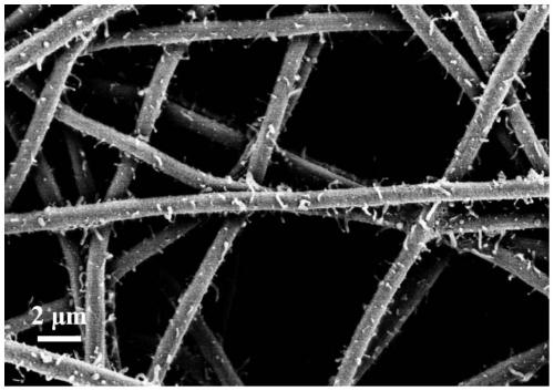 Preparation method of acid-resistant carbon-coated metal oxide/self-supporting carbon nanofiber composite material