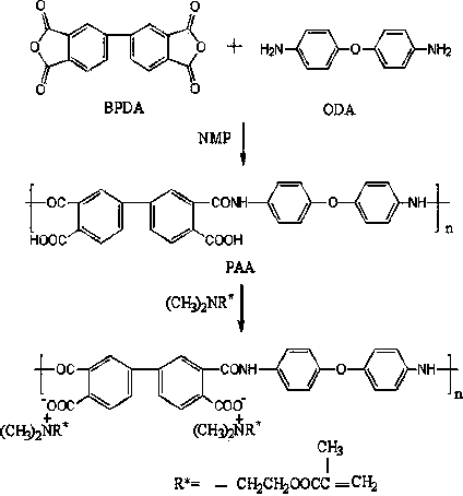 Preparation method of ionic type negative photosensitive polyimide material