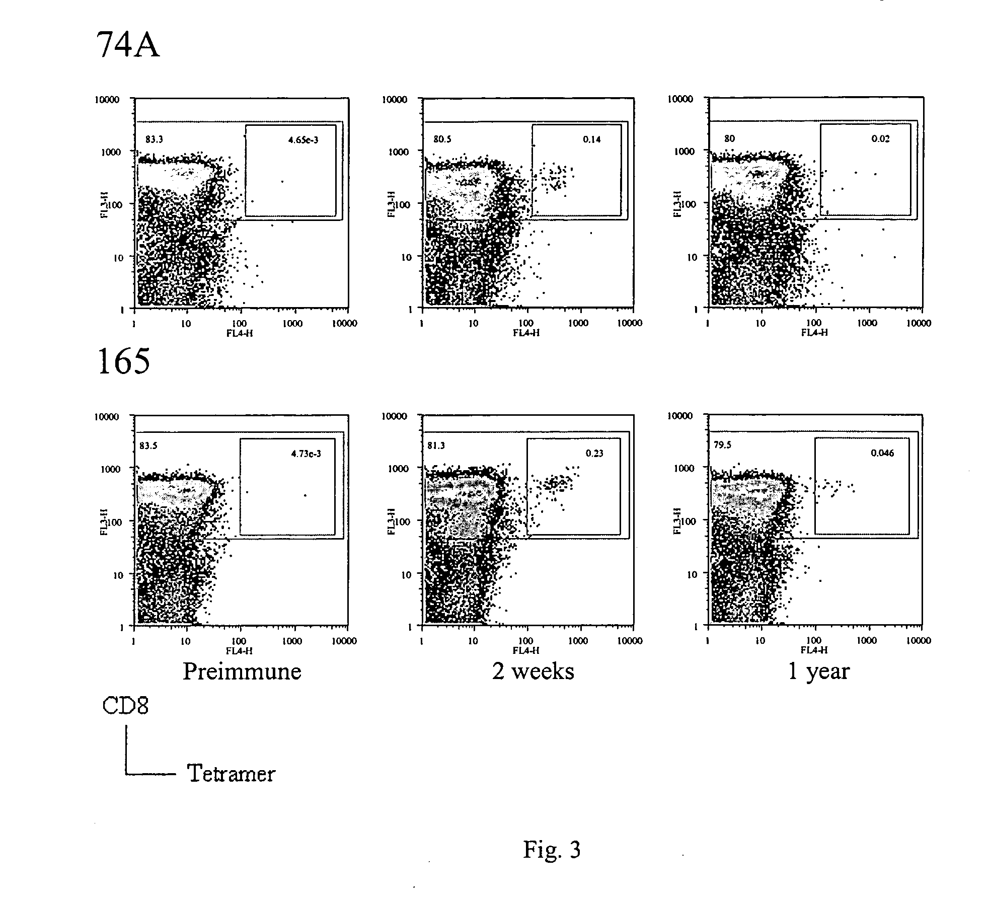 Identification of gene sequences and proteins involved in vaccinia virus dominant T cell epitopes