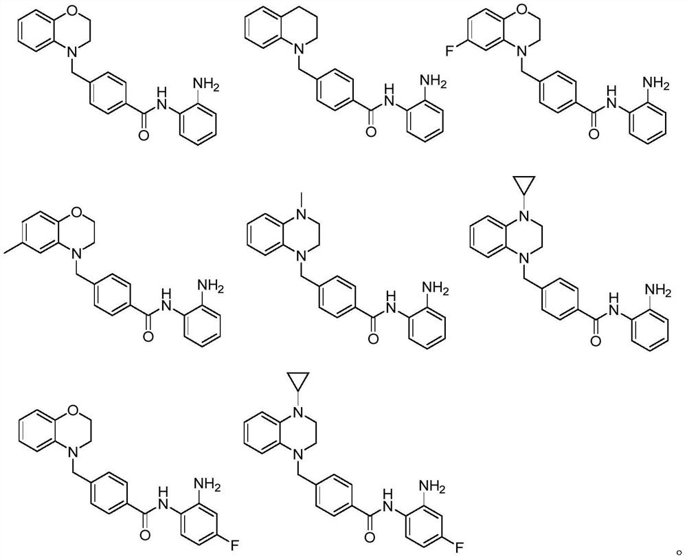 Benzamide-containing benzo six-membered heterocyclic derivative and application thereof in antitumor drugs
