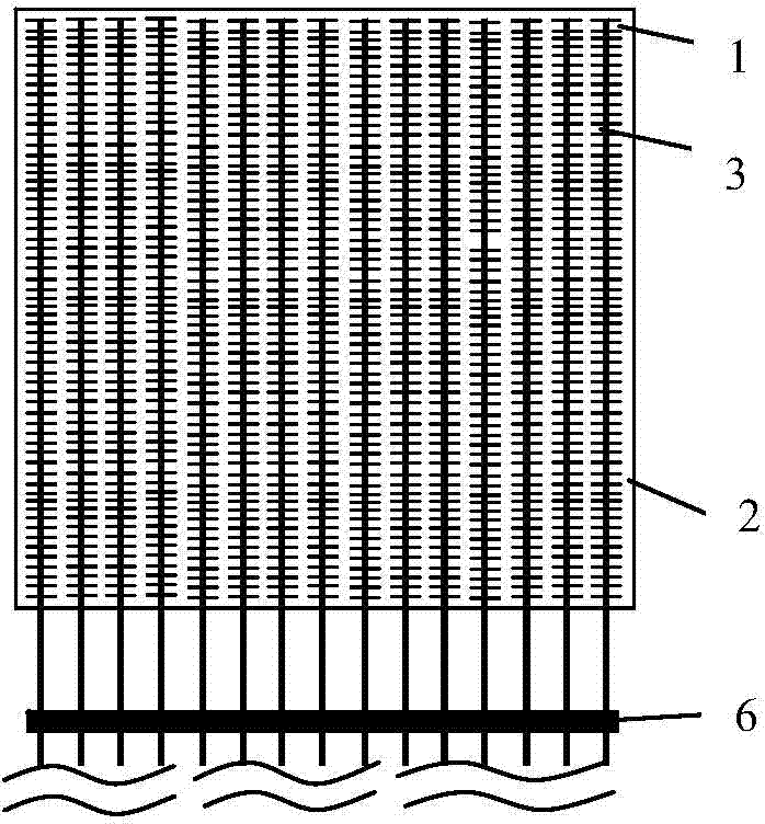 Photovoltaic cell module and manufacturing method thereof
