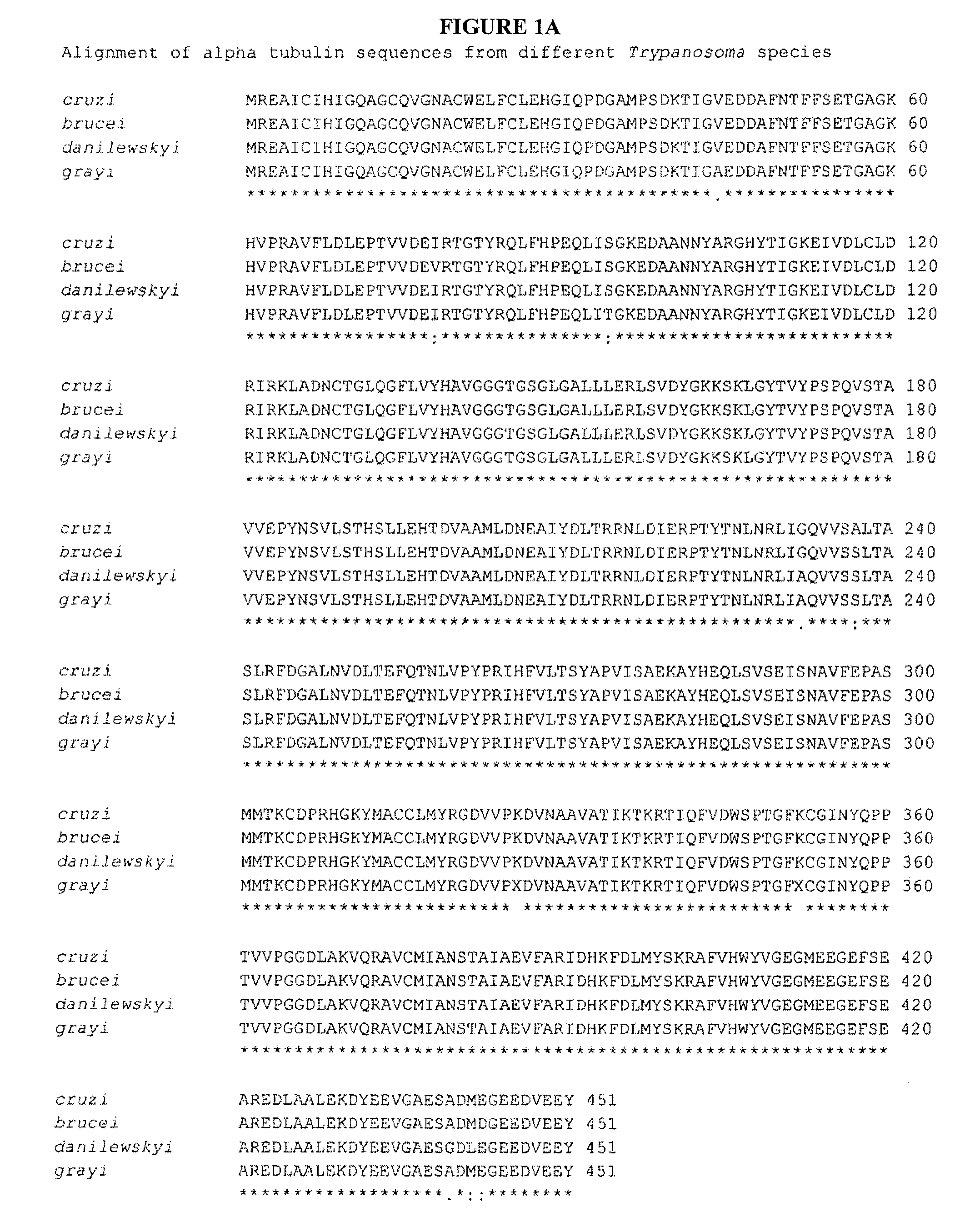 <i>Trypanosoma </i>antigens, vaccine compositions, and related methods