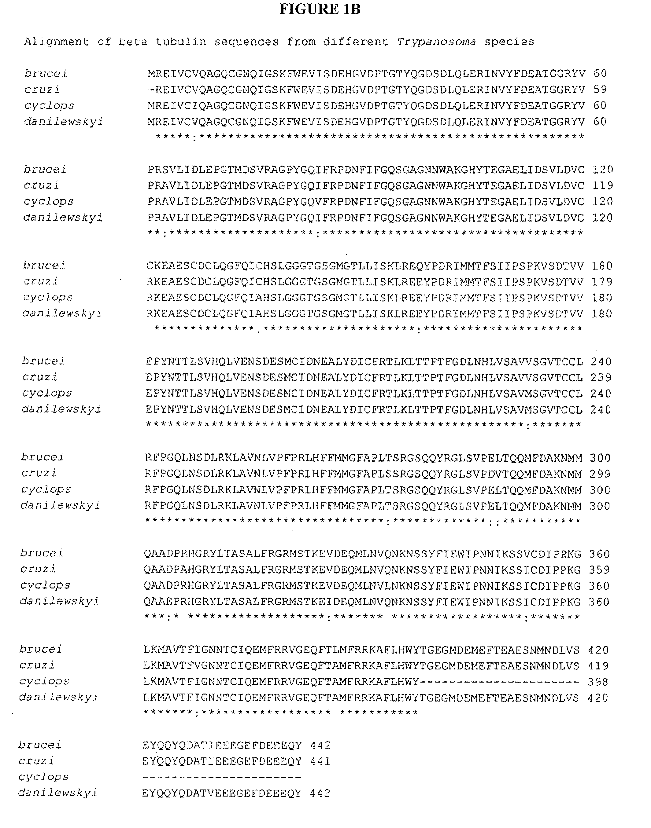 <i>Trypanosoma </i>antigens, vaccine compositions, and related methods