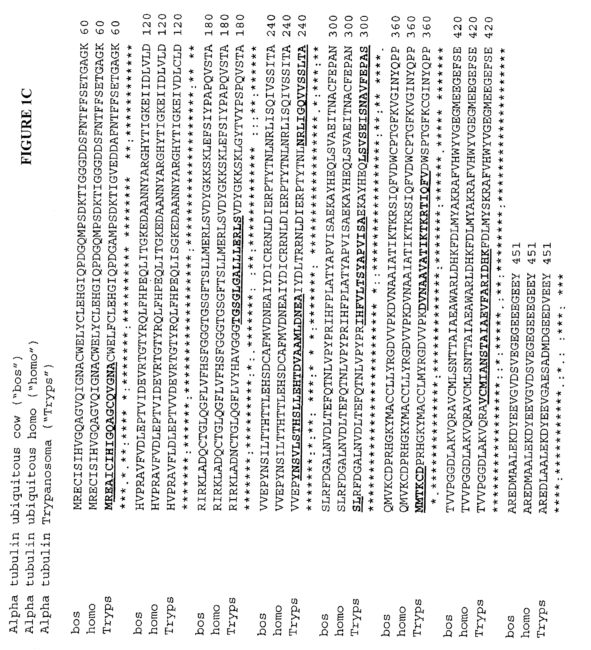 <i>Trypanosoma </i>antigens, vaccine compositions, and related methods