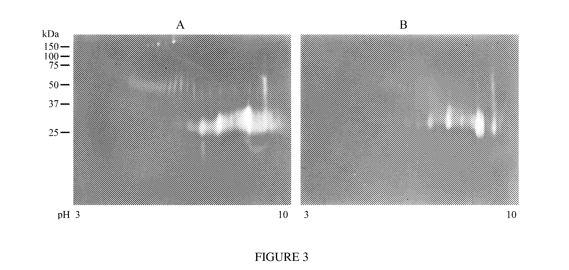 Compositions and methods for controlling infestation