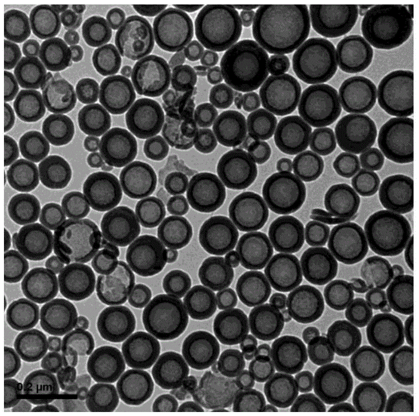 Porous anti-reflection film composed of nano-silica hollow particles and preparation method thereof