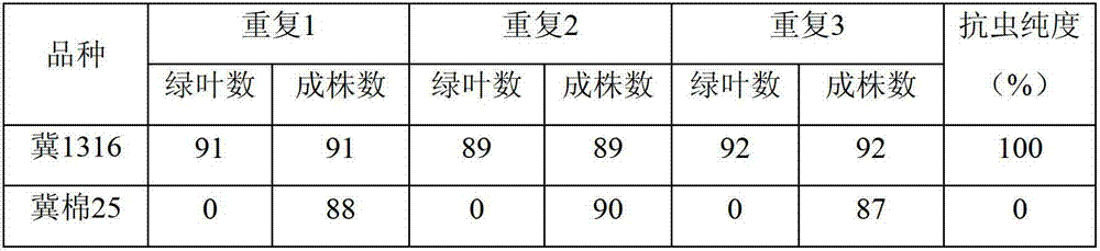 Method for simultaneously detecting emergence rate and insect resistance purity of transgenic Bt insect-resistant cottonseeds