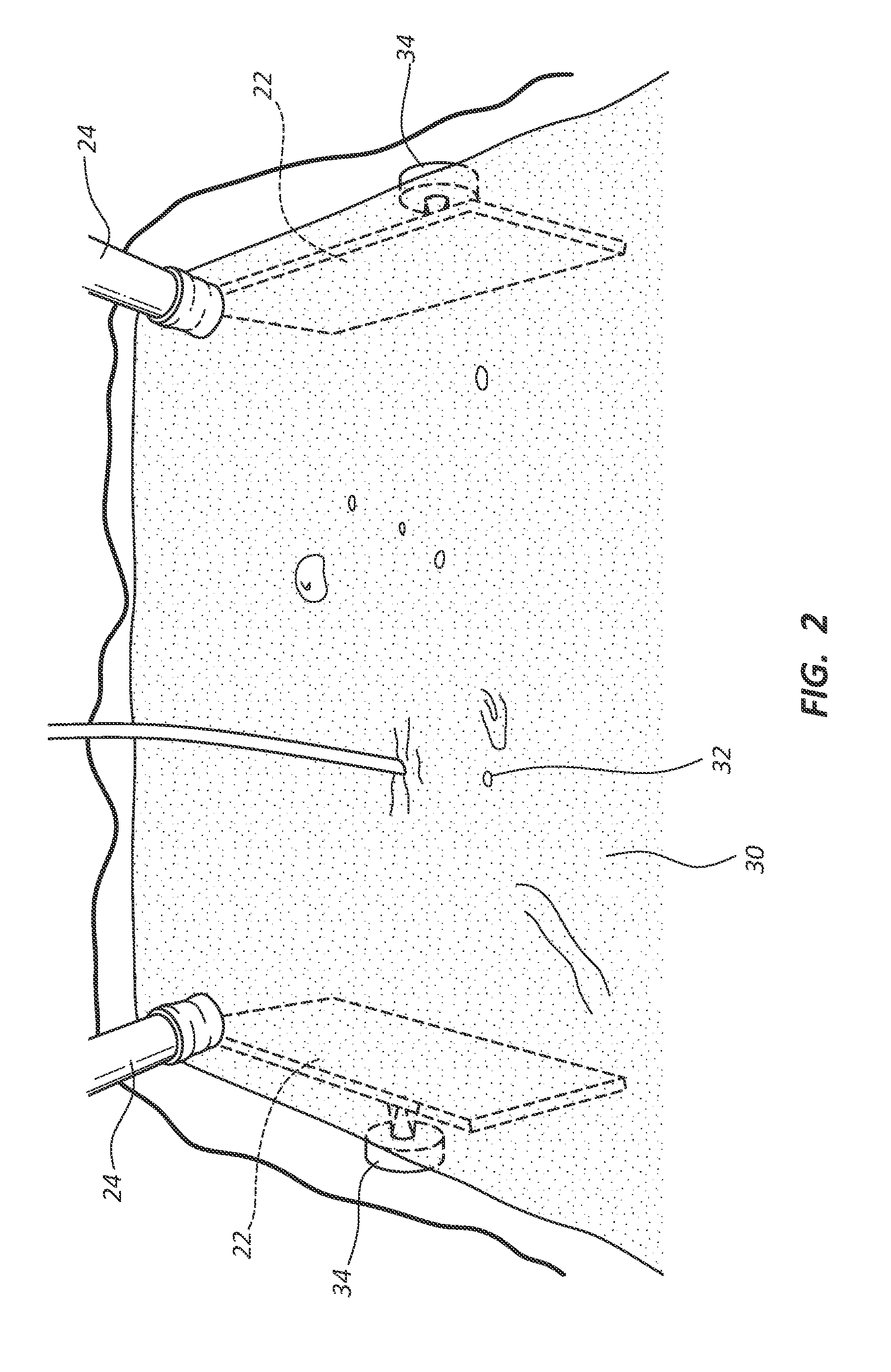 Systems and Methods for Increasing Growth of Biomass Feedstocks