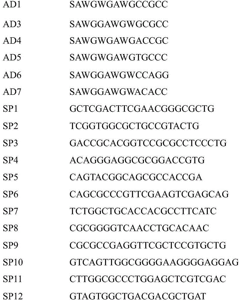 Tyrosinase coding gene melC derived from streptomyces kathirae SC-1 and proteins of tyrosinase coding genes melC