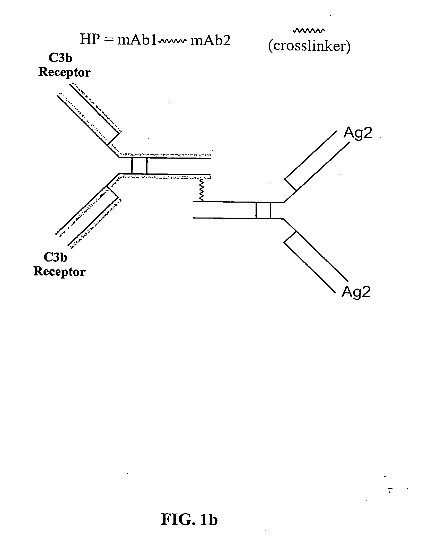 Bispecific molecules and uses thereof