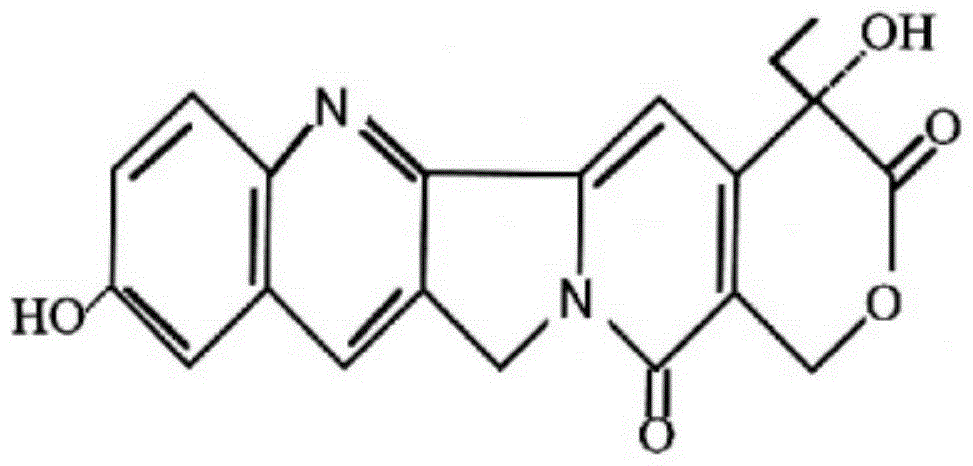 Silica body loaded with 10-hydroxycamptothecin and its preparation method