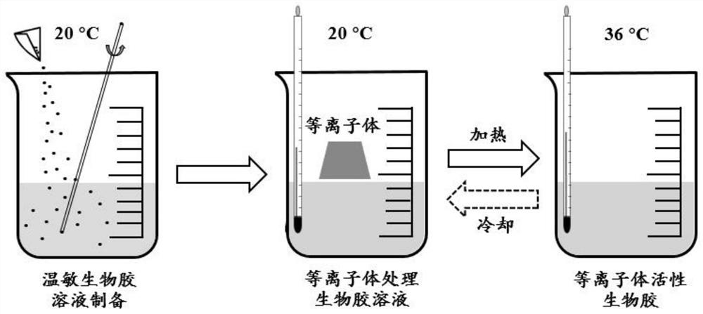 Preparation method of temperature-sensitive plasma active biogel and active biogel