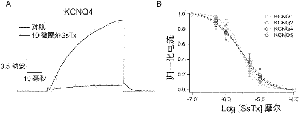 Centipede polypeptide SLP_SsTx as well as encoding gene and application thereof