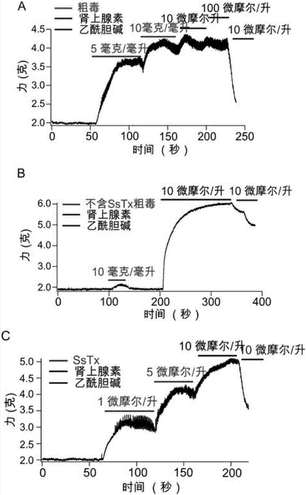 Centipede polypeptide SLP_SsTx as well as encoding gene and application thereof