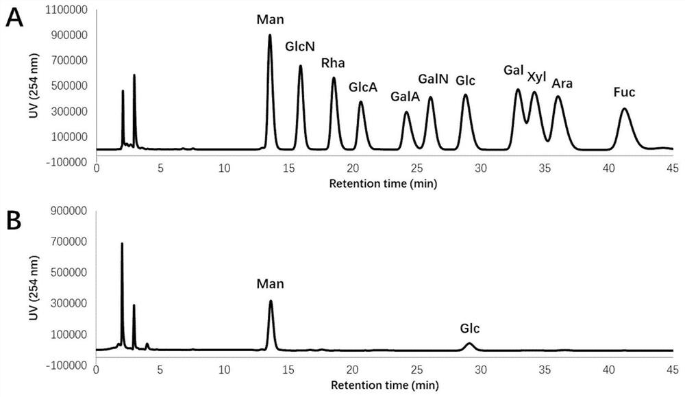 Application of a marine Halomonas exopolysaccharide in the preparation of immune enhancer