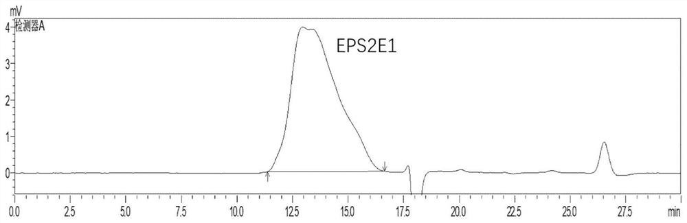 Application of a marine Halomonas exopolysaccharide in the preparation of immune enhancer