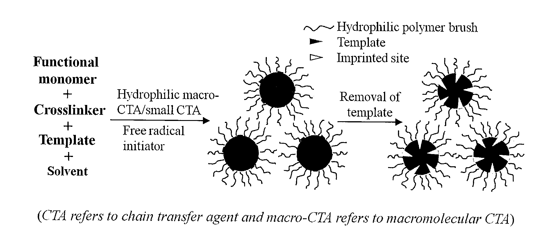 Molecularly imprinted polymer nanoparticles compatible with biological samples and preparation method thereof
