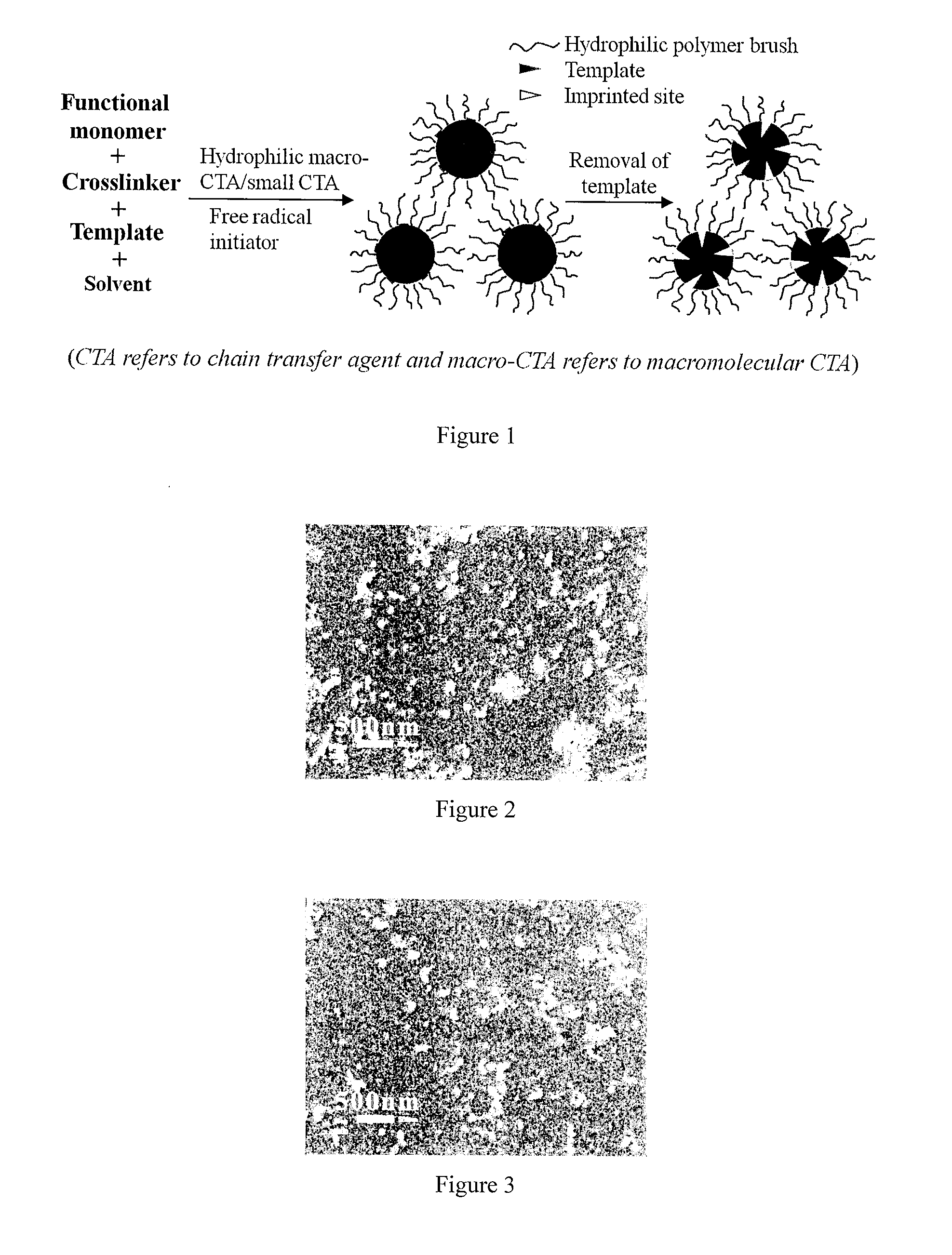Molecularly imprinted polymer nanoparticles compatible with biological samples and preparation method thereof