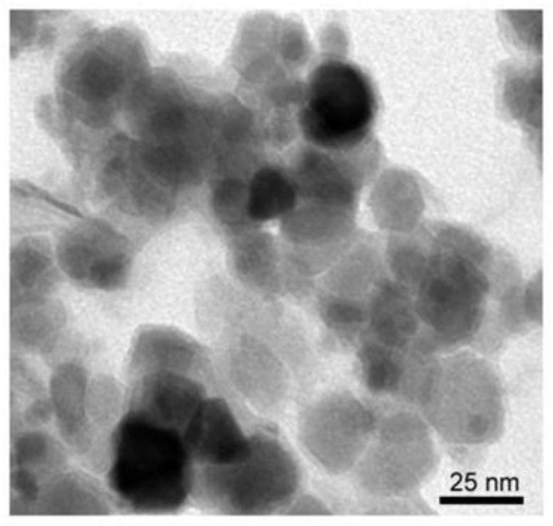 Nickel-chelated magnetic nanoparticle and preparation method thereof, and application of nickel-chelated magnetic nanoparticle in separation and purification of histidine tag protein