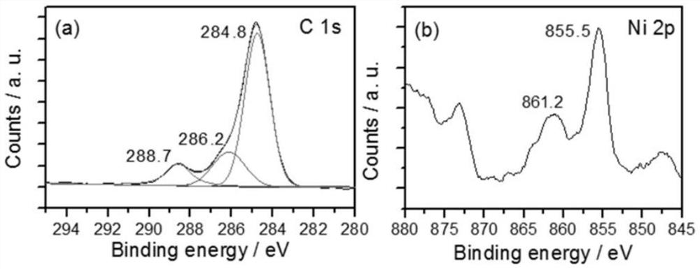 Nickel-chelated magnetic nanoparticle and preparation method thereof, and application of nickel-chelated magnetic nanoparticle in separation and purification of histidine tag protein