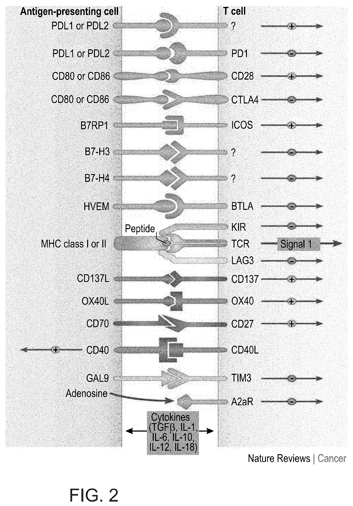 Compositions and methods for treating malignant, autoimmune and inflammatory diseases