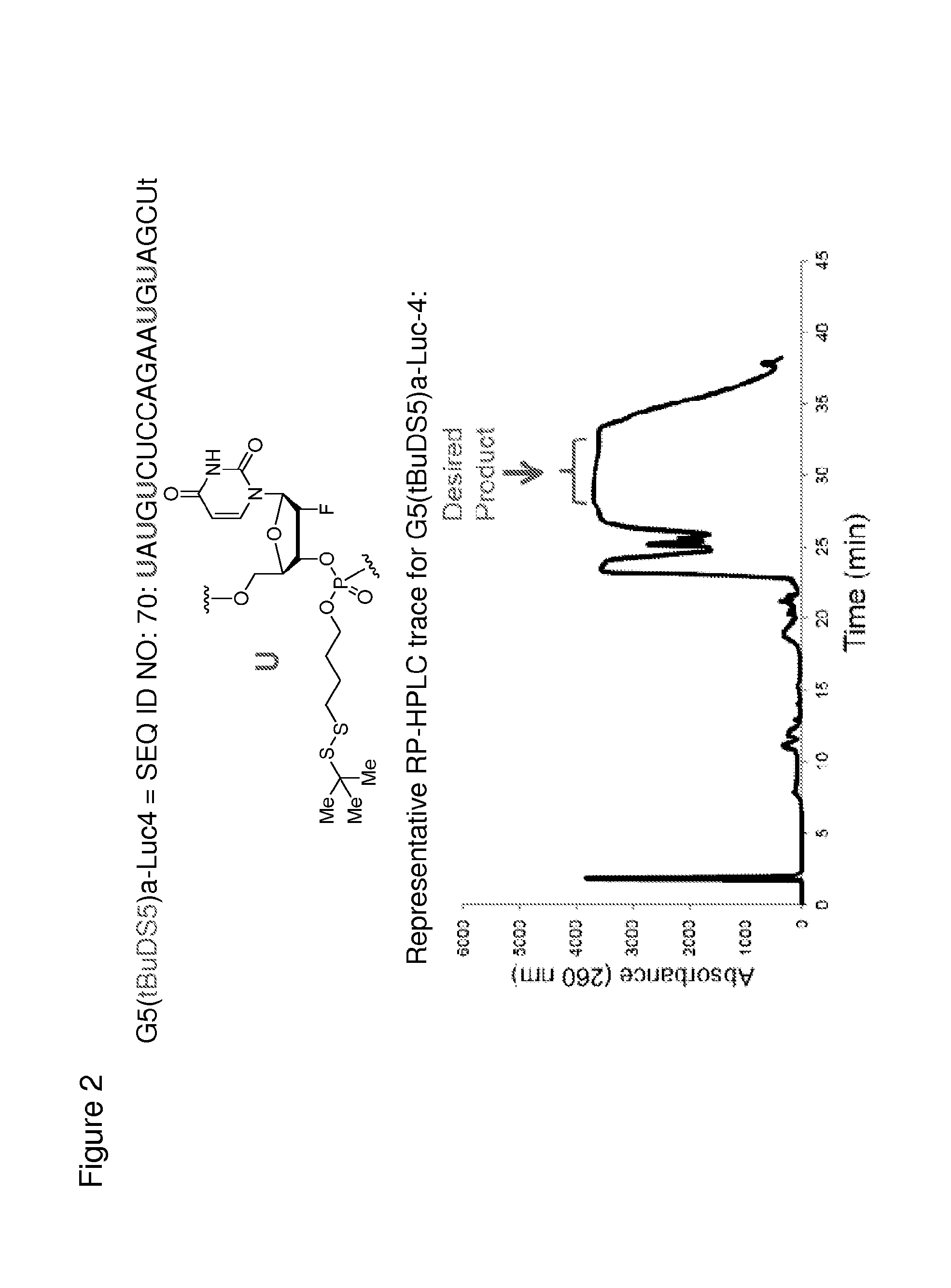 Polynucleotide constructs having disulfide groups