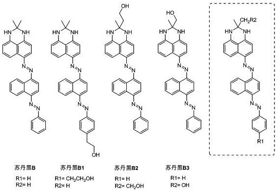 Sudan black b2 dye and staining solution, detection method using same, gel electrophoresis system containing same, kit and preparation method