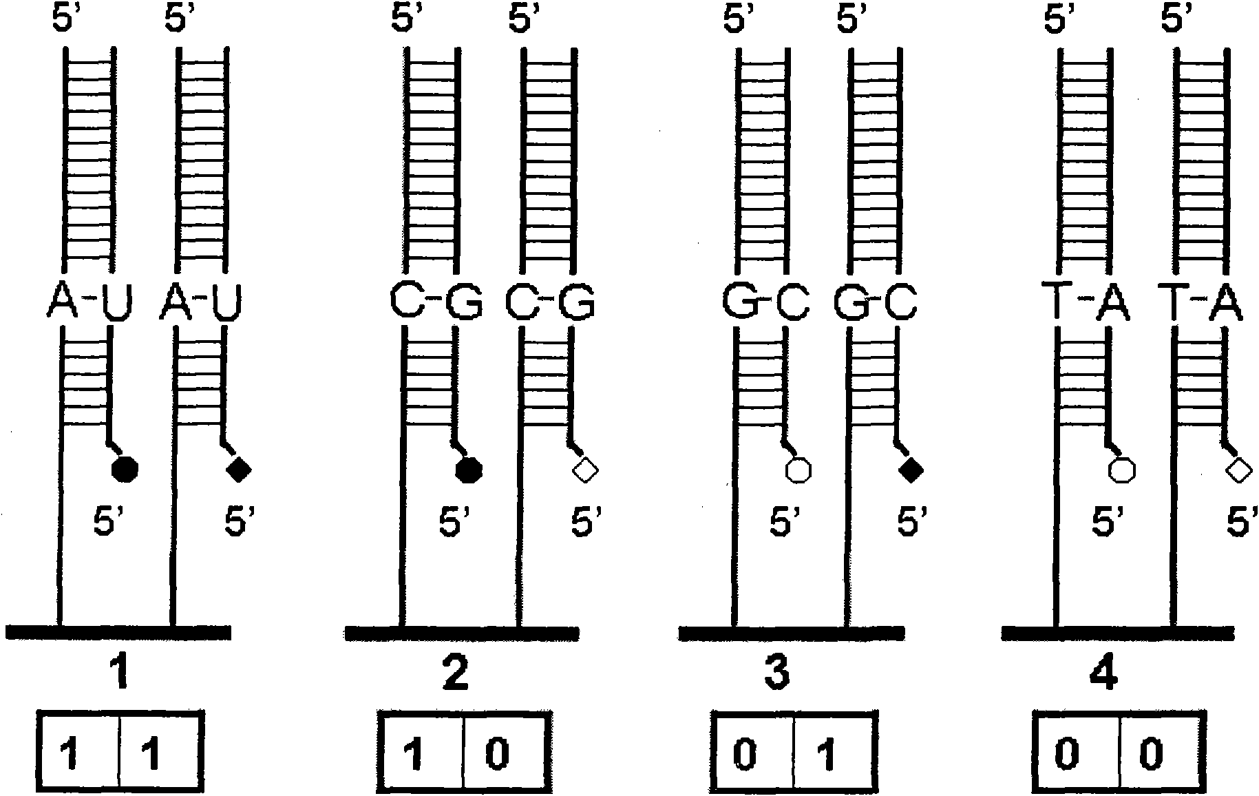 Signal combination coding-based DNA ligation sequencing method
