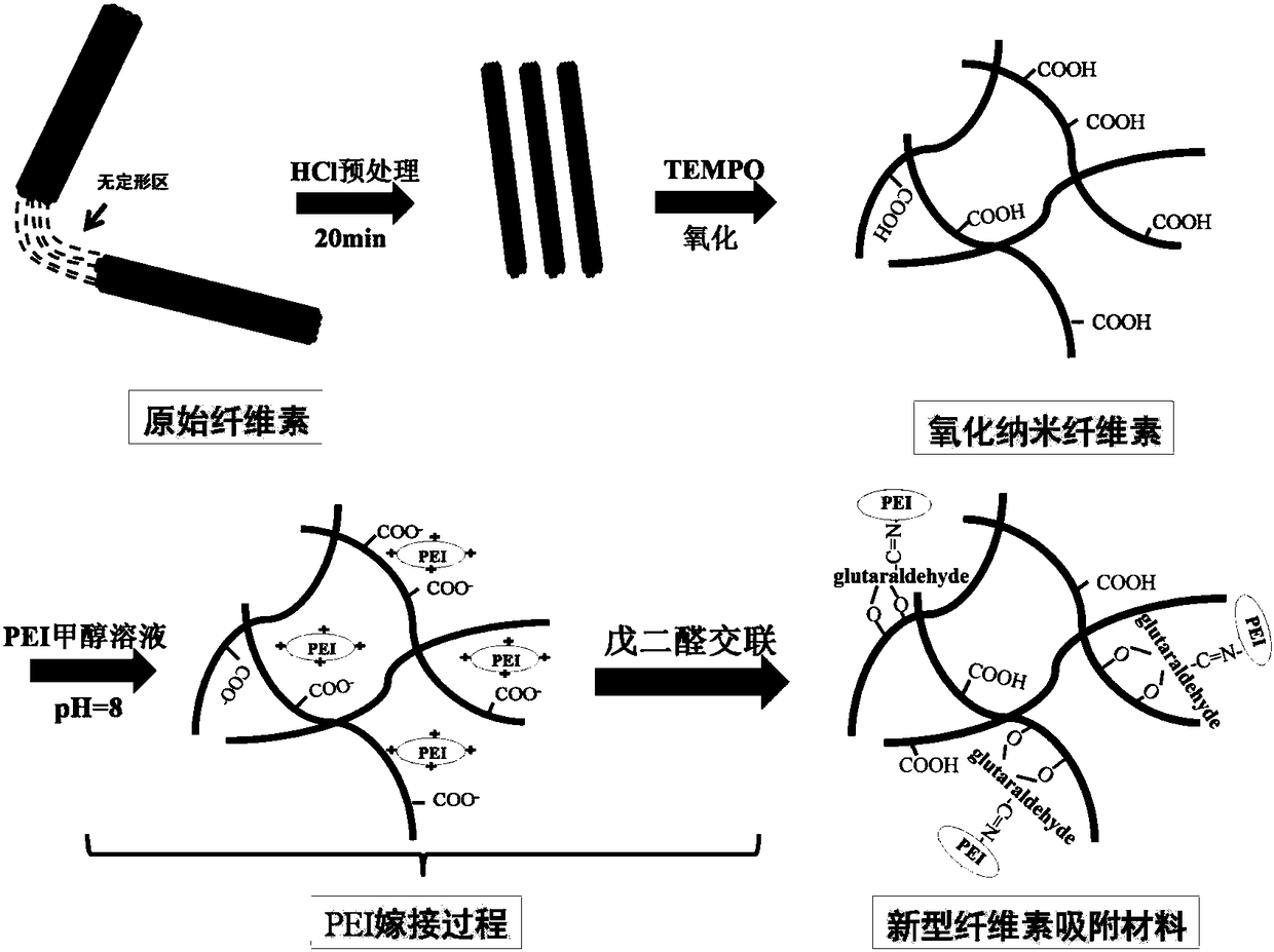 A kind of oxidized nanocellulose adsorption material and preparation method thereof