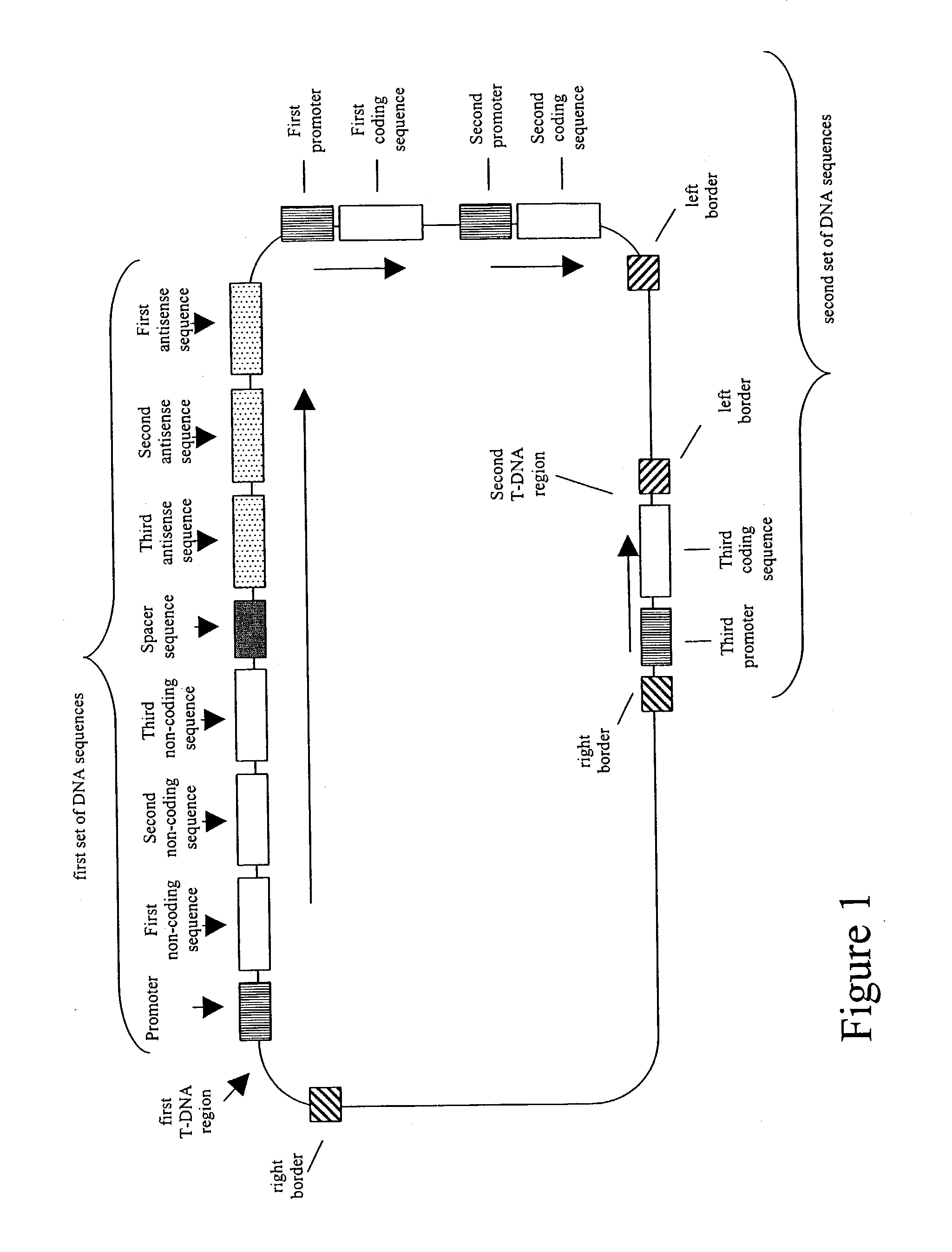 Nucleic acid constructs and methods for producing altered seed oil compositions