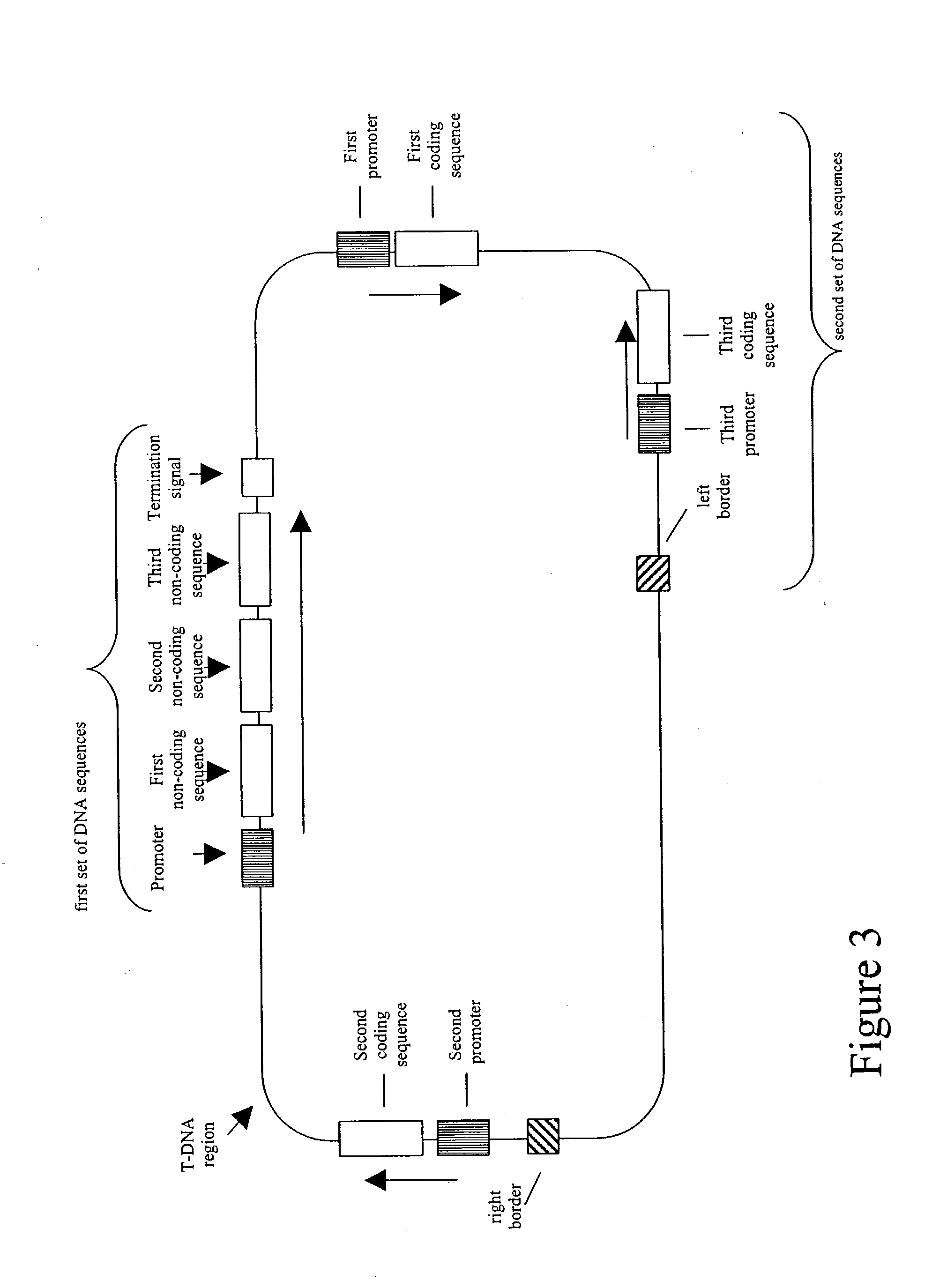 Nucleic acid constructs and methods for producing altered seed oil compositions