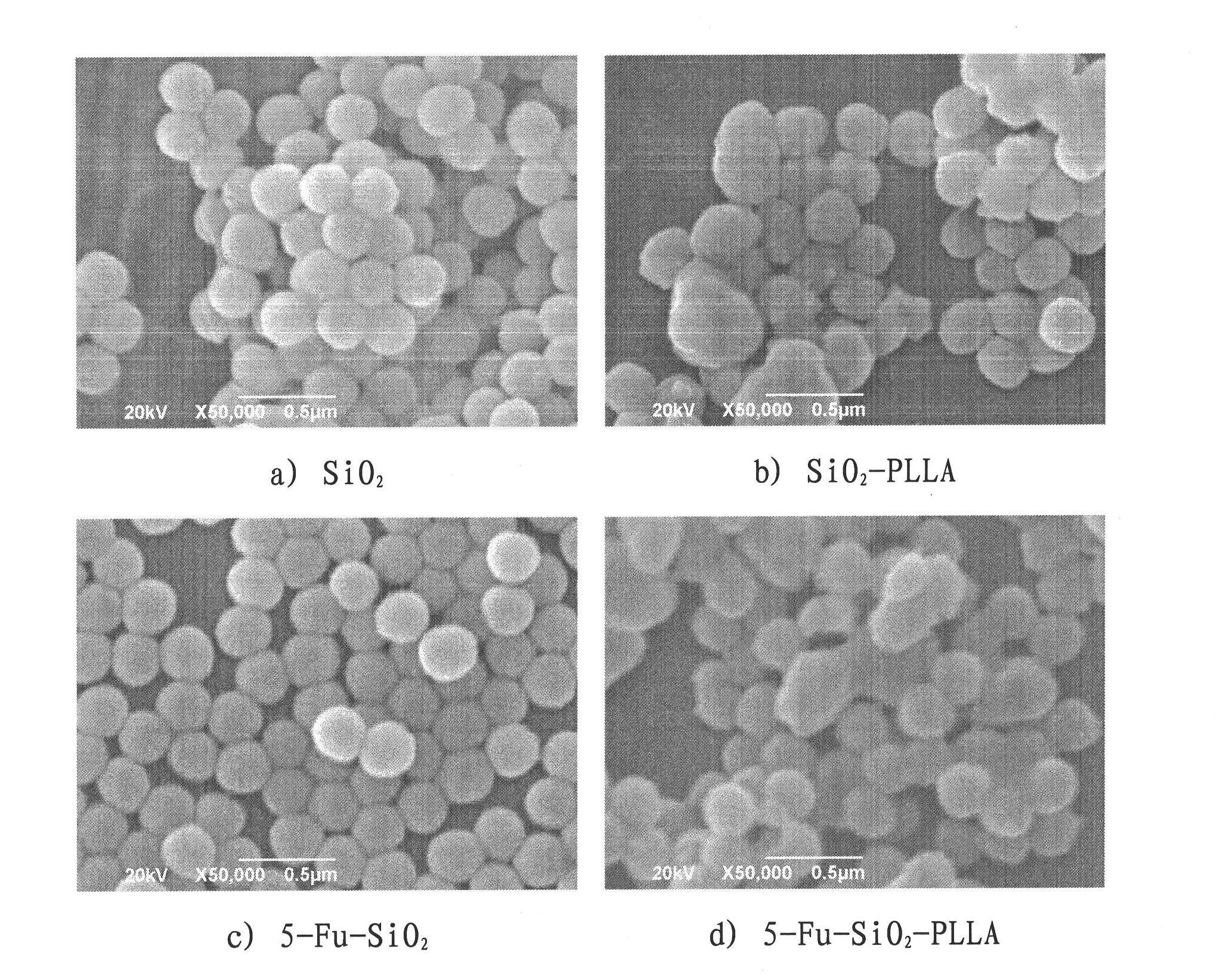 Method for preparing core-shell type composite microspheres by supercritical fluid technology