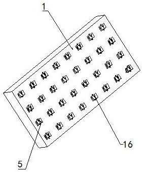 Double-color ornament accessory and production process thereof